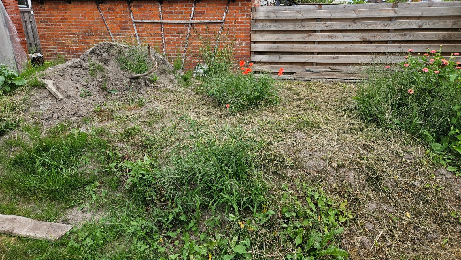 gratis tuinaarde, naar keuze ergens tussen 1 kruiwagen- 3 m3, Ophalen, Tuinaarde