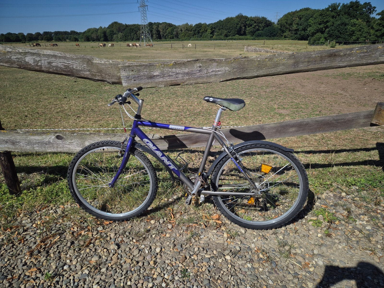 Giant Mountainbike Boulder sport serie - frame 19.5 inch, 49 tot 53 cm, Ophalen, Gebruikt, Giant