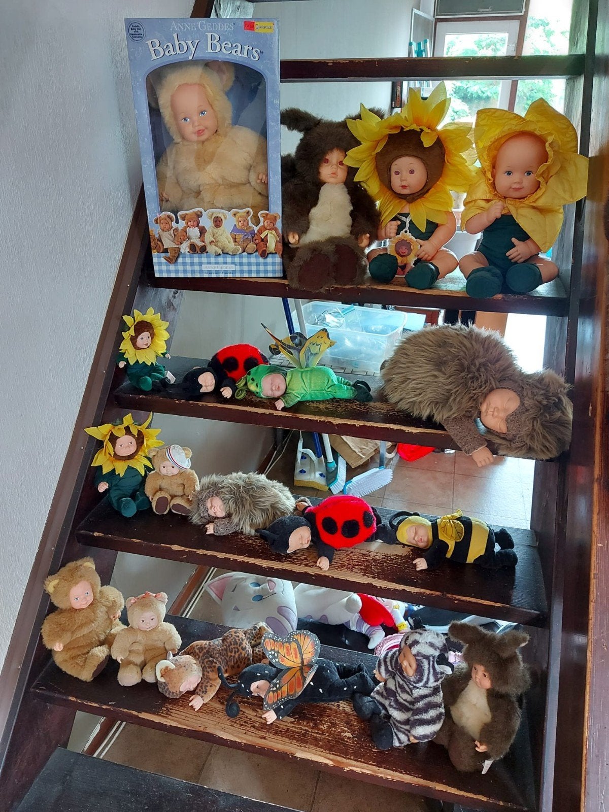 Anne geddes poppen, Ophalen