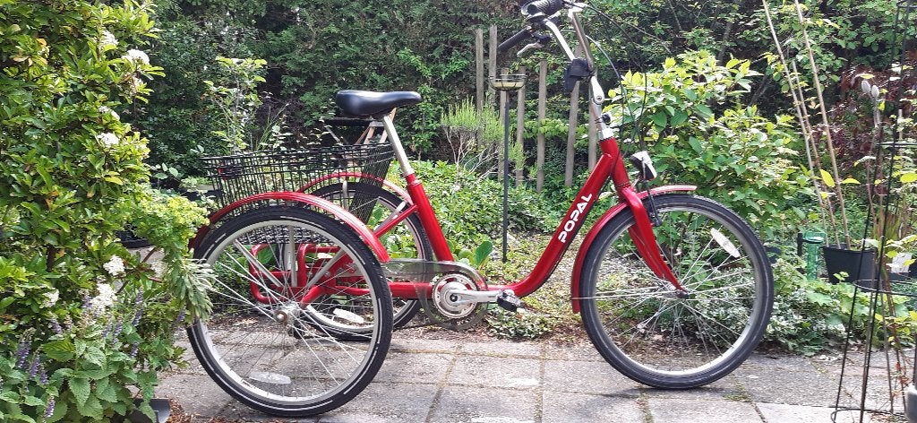 Driewielfiets, Fietsen en Brommers, Fietsen | Driewielfietsen, Gebruikt, Velgrem, Ophalen