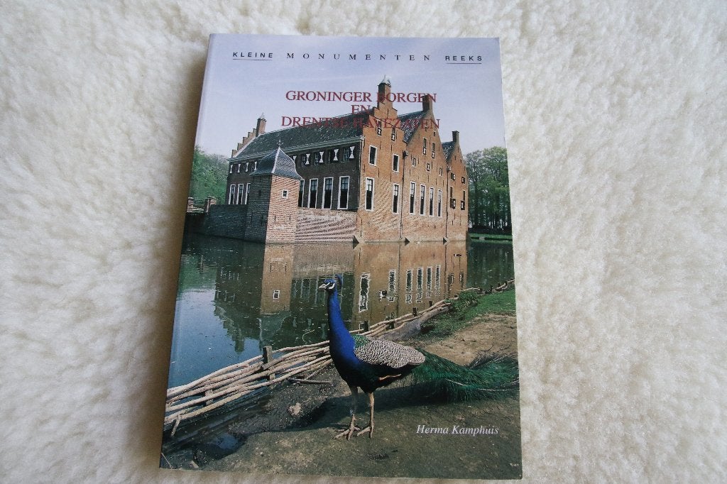 Groninger Borgen en Drentse havezaten, Ophalen of Verzenden, Gelezen