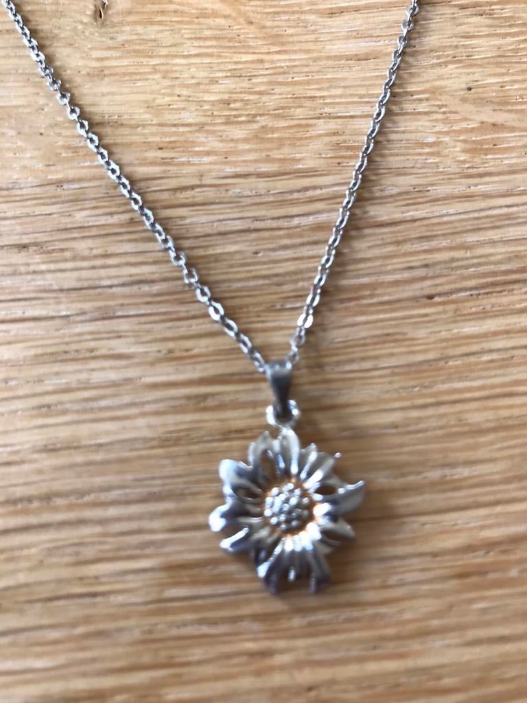 Zilverkleurige ketting met edelweiss hanger, Ophalen of Verzenden, Gebruikt, Overige materialen
