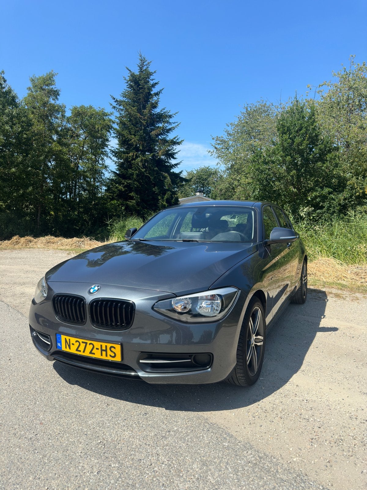 BMW 116i High Executive – CarPlay — 5DR 2014 Grijs, Auto's, 1-Serie, 4 cilinders, 1200 kg, Particulier