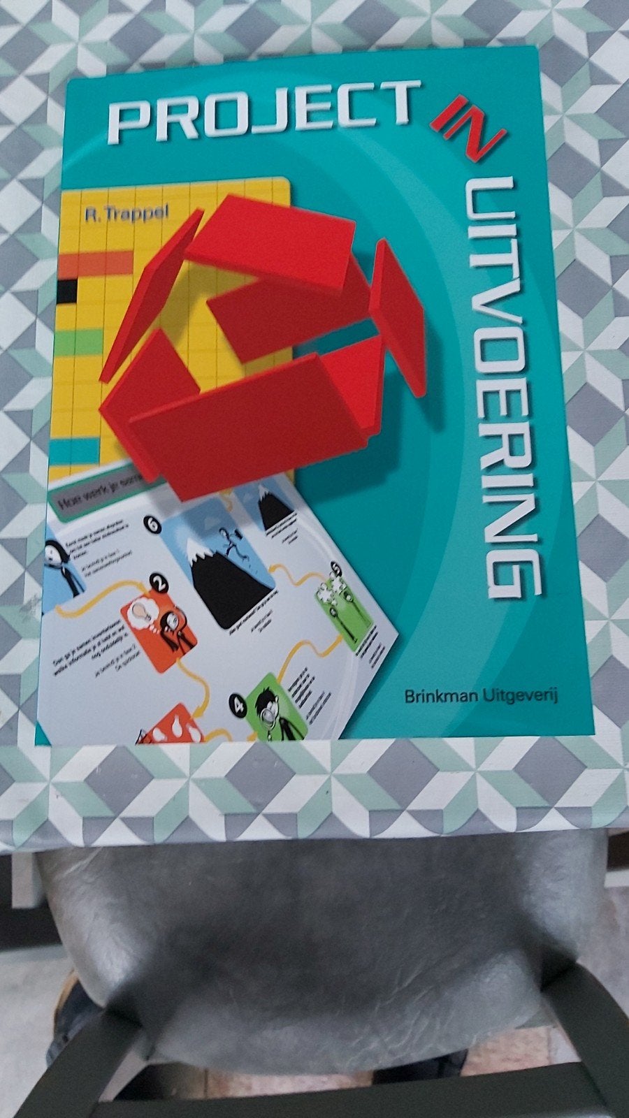 Boek: Project in uitvoering - R. Trappel (HBO/WO), Gelezen, R. Trappel, Gamma, HBO