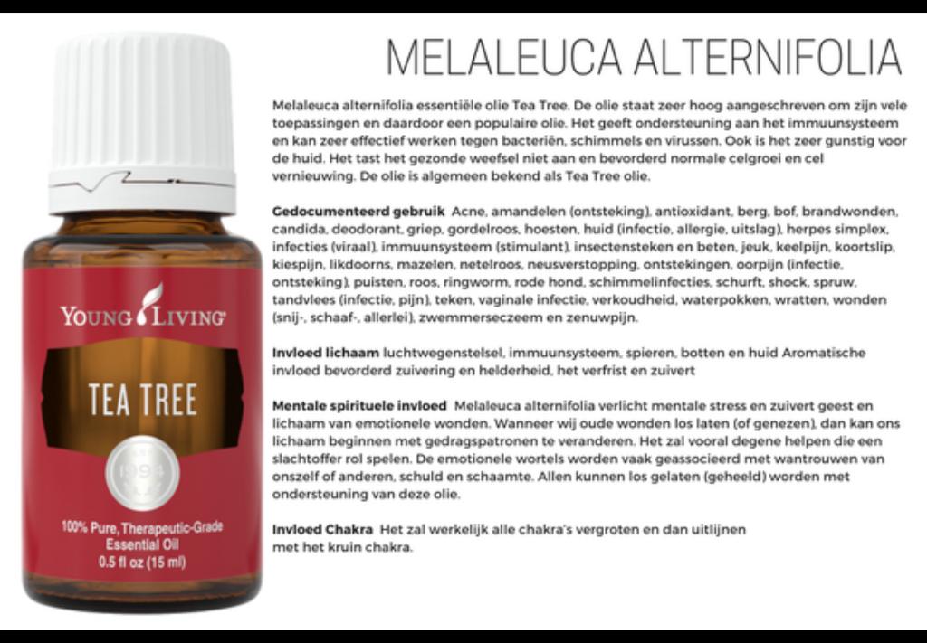 Young Living Tea Tree 15 ml, Ophalen of Verzenden, Nieuw, Aroma