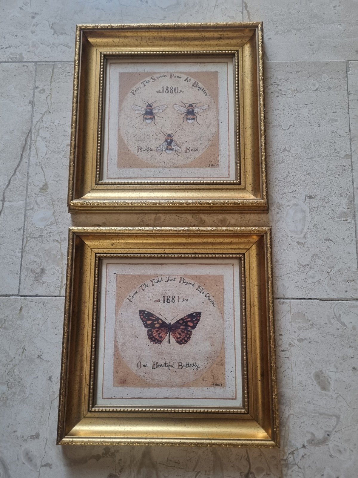 Shelly hely Set van 2 ingelijste prints: Bijen en Vlinder, Ophalen, Minder dan 50 cm, Gebruikt, Oorspronkelijke maker