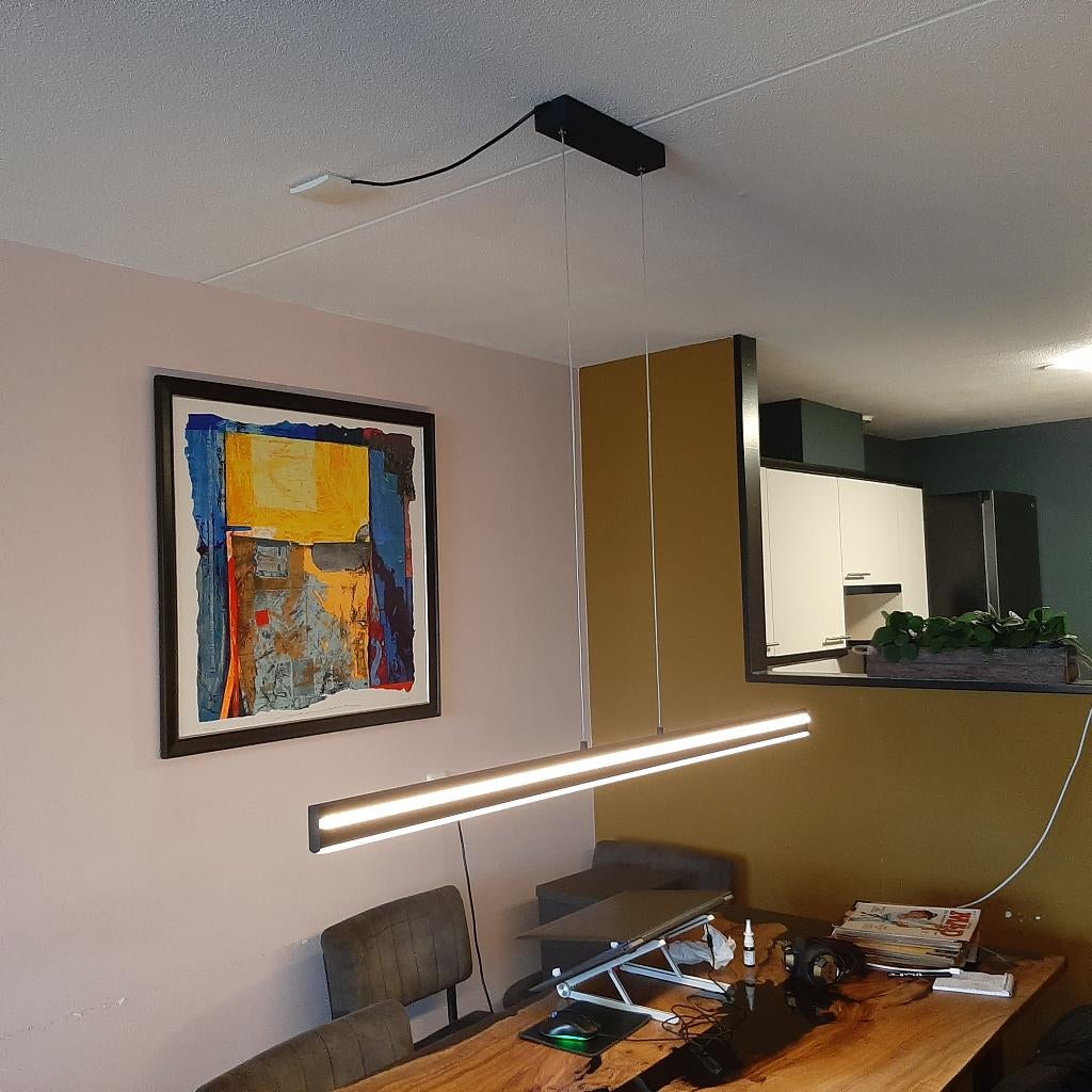 Hanglamp Paul Neuhaus, Ophalen, Zo goed als nieuw, Modern, Minder dan 50 cm