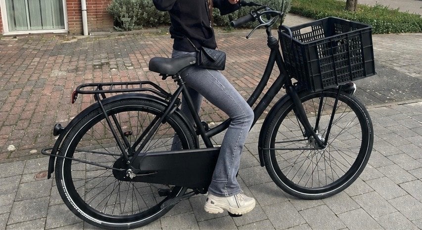 Gazelle damesfiets 28 inch Puur NL, Ophalen, Gebruikt, Gazelle