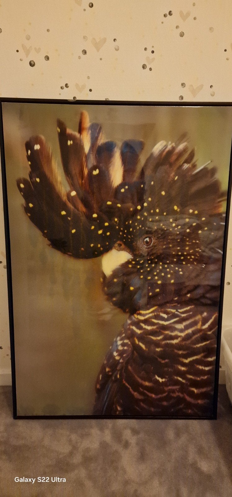 Papegaai Kaketoe Schilderij 63x93cm, Ophalen, Gebruikt, Schilderij, 75 – 100