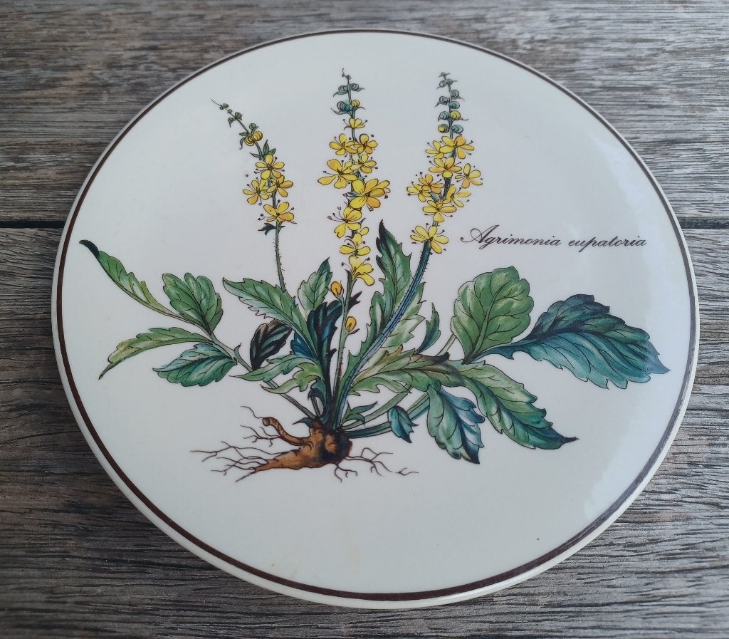 VILLEROY & BOCH, Huis en Inrichting, Keuken | Servies, Nieuw, Overige typen, Overige stijlen, Porselein, Villeroy & Boch, Ophalen of Verzenden