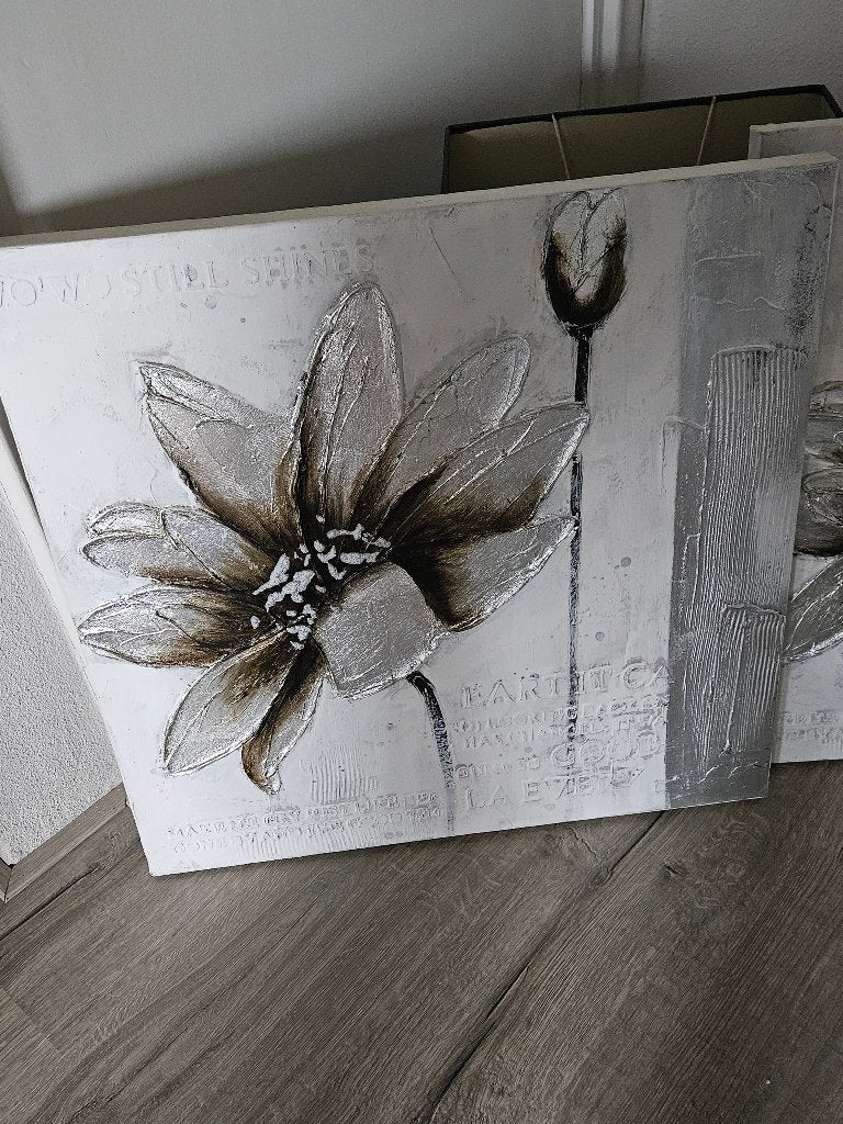 2 hele mooie Schilderijen 60x60, Antiek en Kunst, Kunst | Schilderijen | Klassiek, Overige stijlen, Doek, Overige technieken, Ophalen