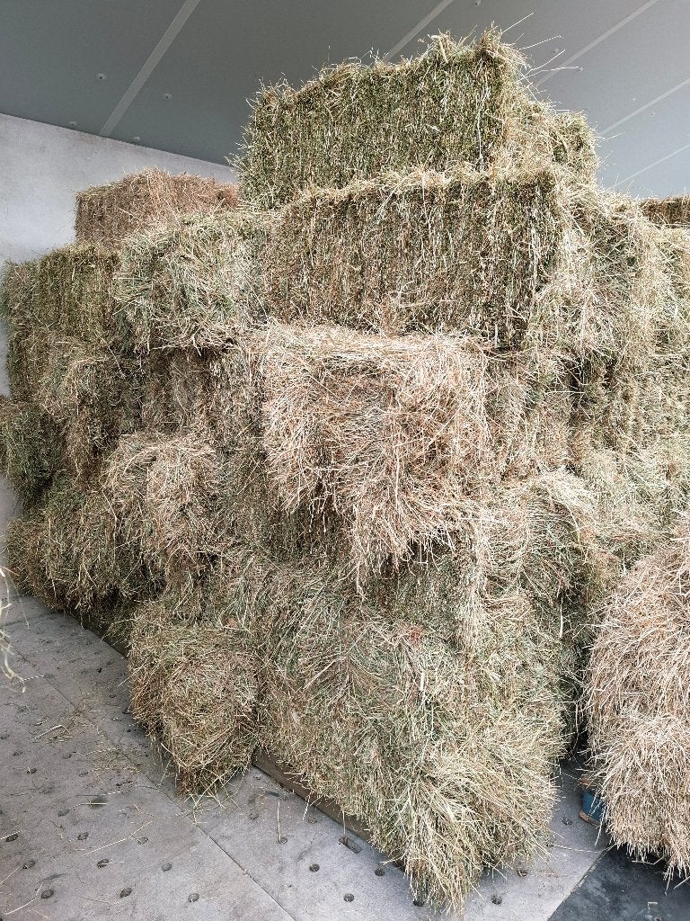 Kleine pakjes hooi geschikt voor geiten en herten!, Dieren en Toebehoren, Dierenvoeding, Overige soorten, Ophalen