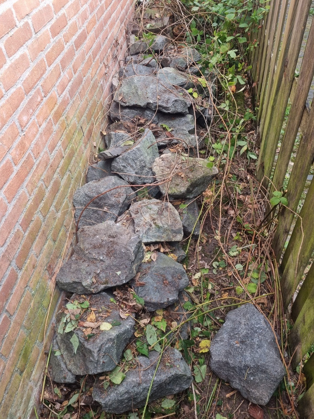 Diverse stenen en keien voor tuin of decoratie, Tuin en Terras, Ophalen, Overige materialen, Gebruikt, Kei