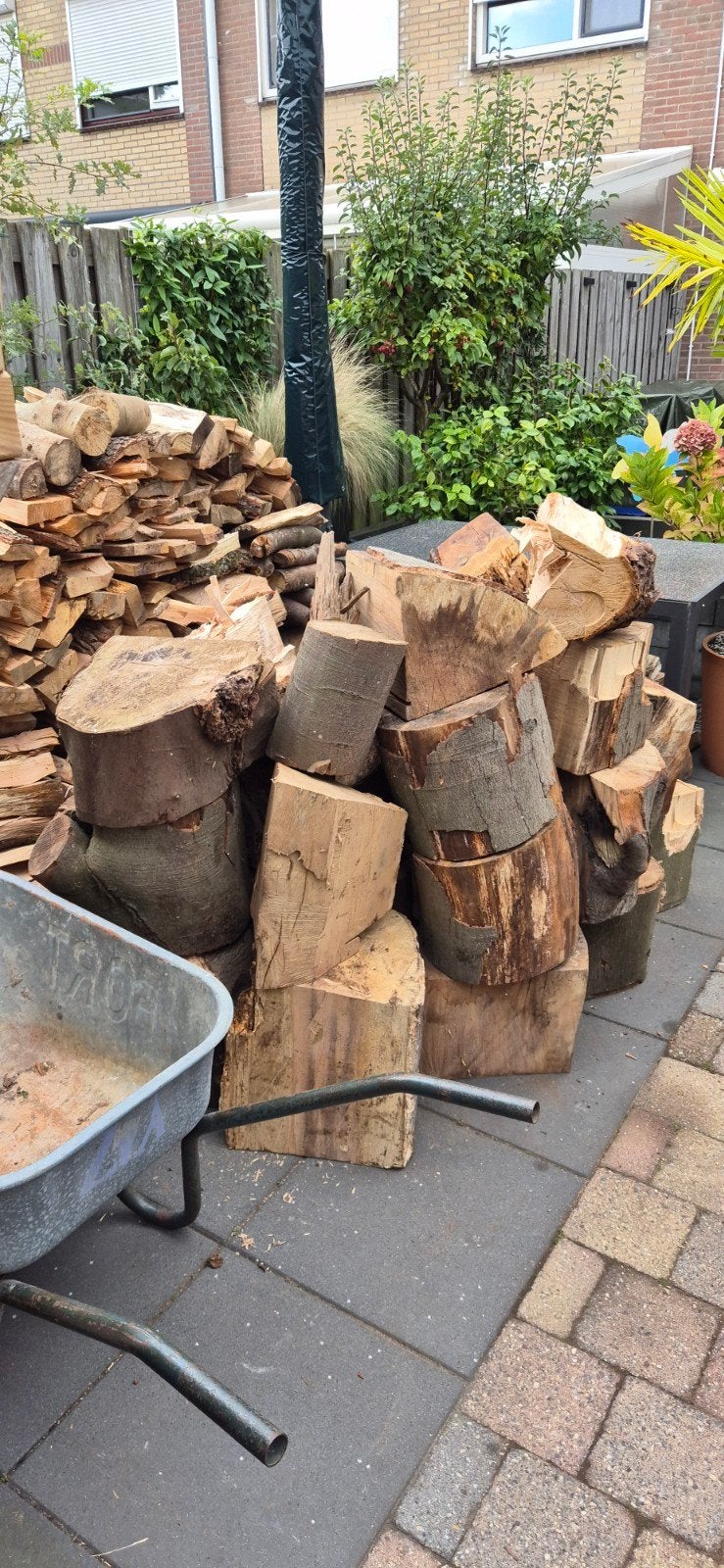 stamhout, Tuin en Terras, Minder dan 3 m³, Ophalen, Essenhout, Stammen
