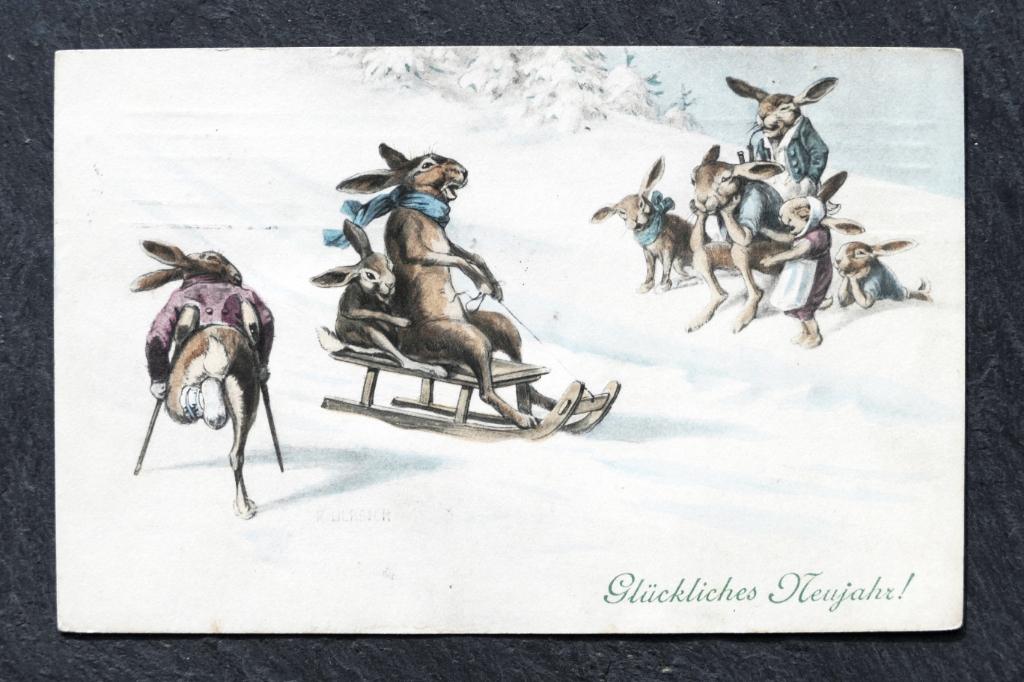 Haas in het gips en hazen op de slee, in de sneeuw, 1909, Verzenden, Voor 1920, Gelopen, Knaagdier