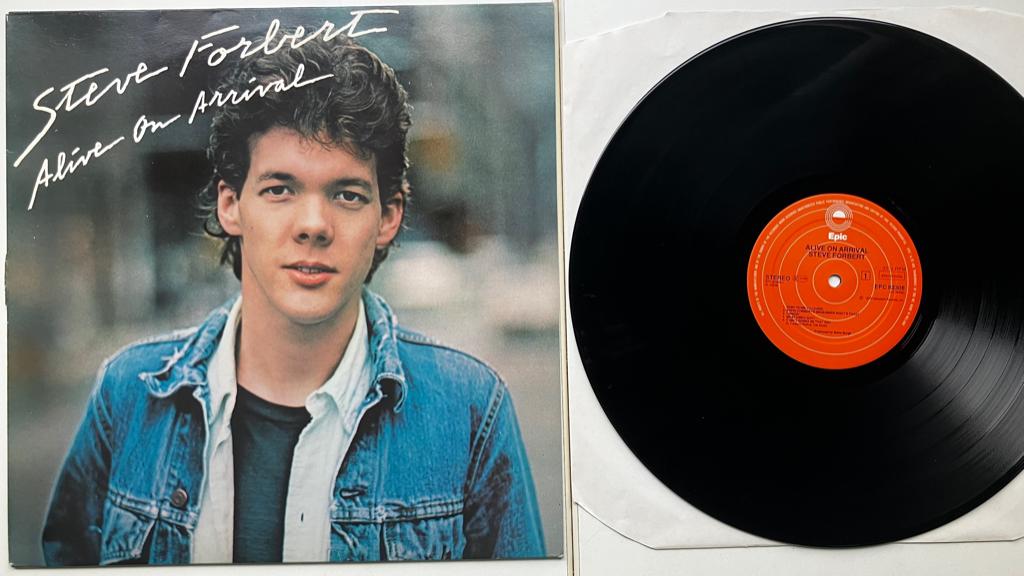 SFOC Steve Forbert 3 albums € 15 ook los te koop, Fotohoes, Ophalen of Verzenden, Zo goed als nieuw, 12 inch