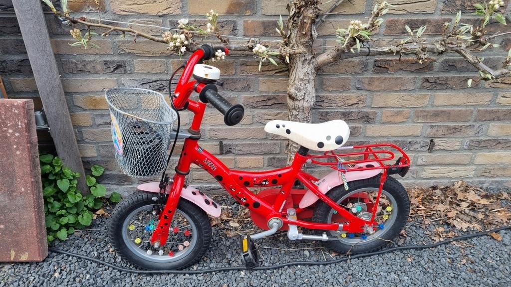 Kinderfiets met lieveheersbeestjes (opknap), Ophalen, Gebruikt, Overige typen
