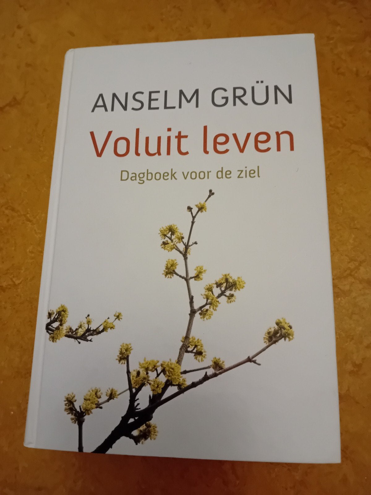 Voluit leven - Dagboek voor de ziel - Anselm Grün, Ophalen of Verzenden