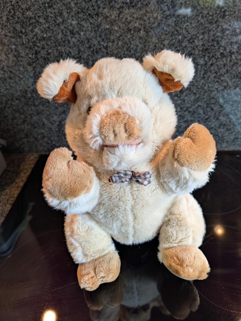 Leuke varkens handpop - perfect voor speeltijd!, Overige typen, Ophalen of Verzenden, Zo goed als nieuw, Met kleding of accessoire