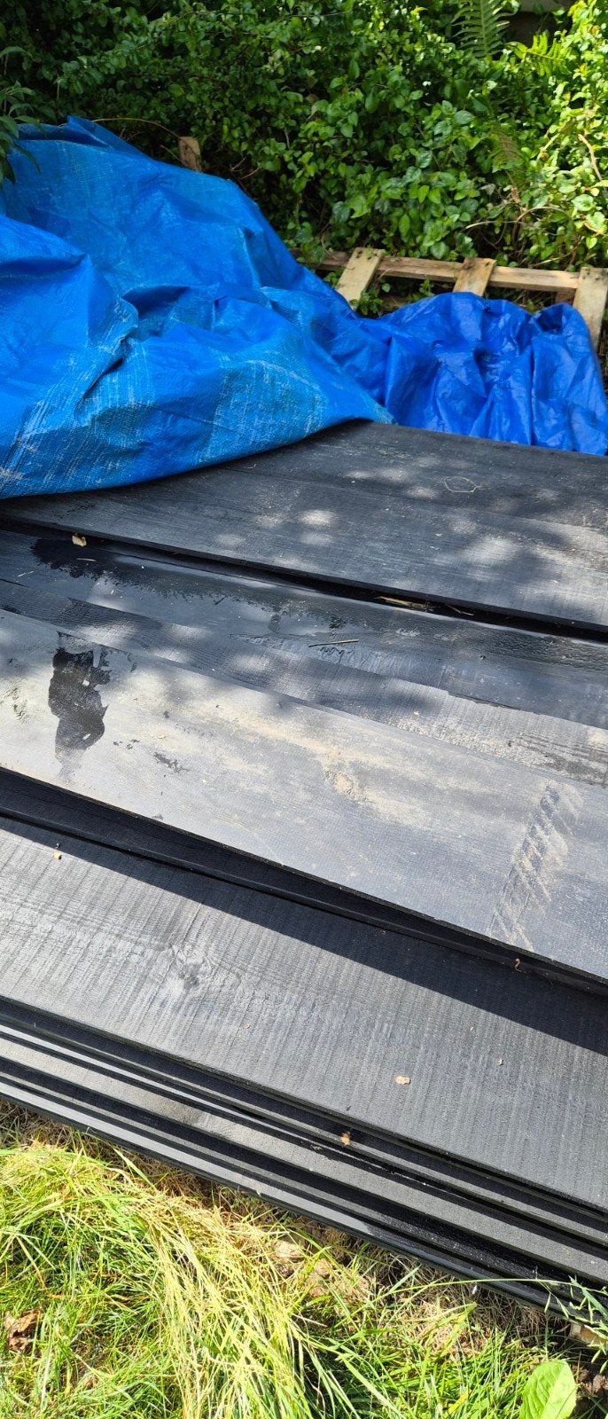 32 Douglas Zweeds rabat zwart gespoten/gecoat 25x195mm, 4mtr, Ophalen, Minder dan 25 mm, Nieuw, Plank