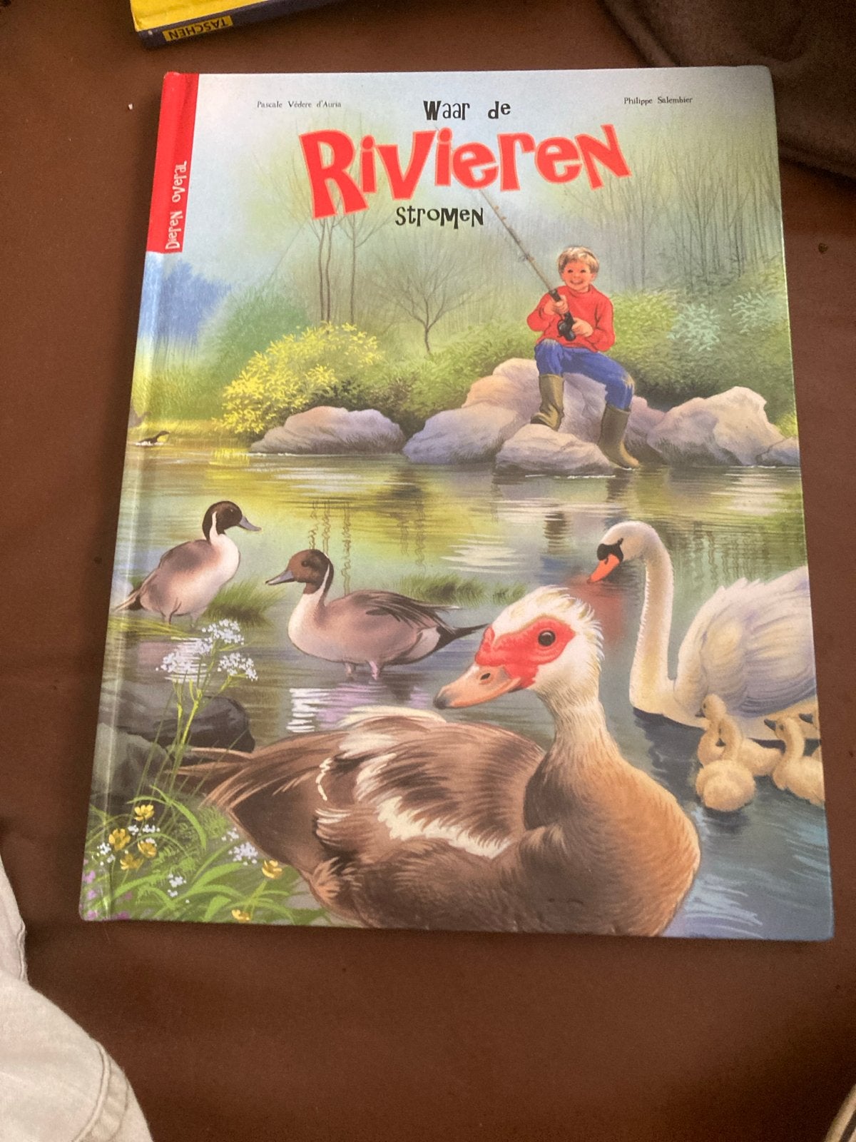 Waar de Rivieren Stromen - Prachtig Geïllustreerd Kinderboek, Ophalen of Verzenden, Gelezen, Non-fictie