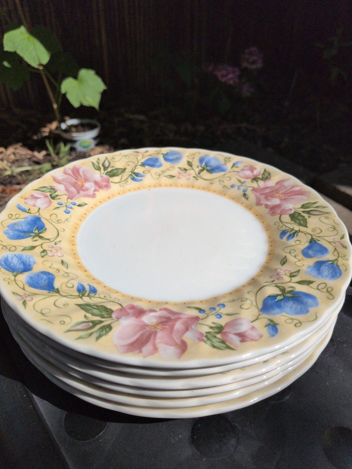 Set van 6 Churchill Staffordshire Engeland borden, Ophalen