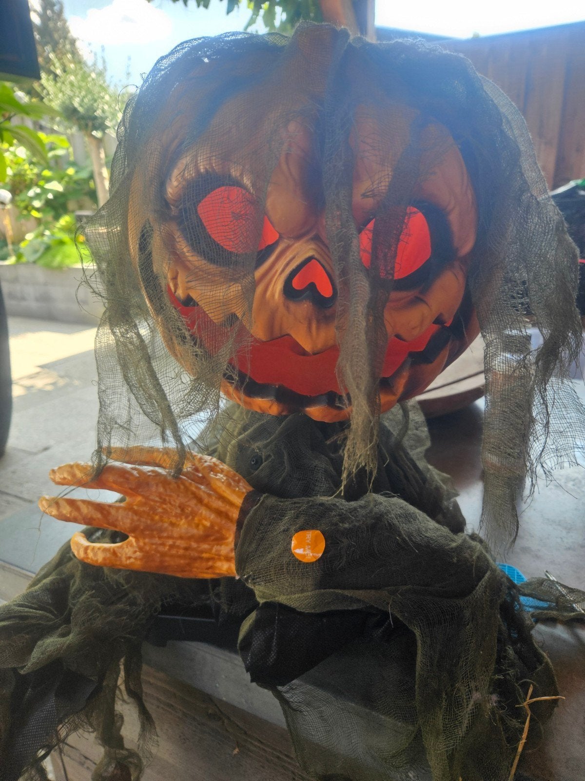 halloween pompoen, Ophalen of Verzenden, Halloween of Griezel