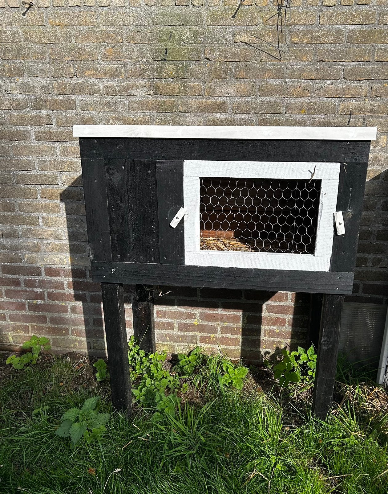 Konijnenhok, 1 jaar oud, Ophalen, Gebruikt, 90 cm of meer, Hok