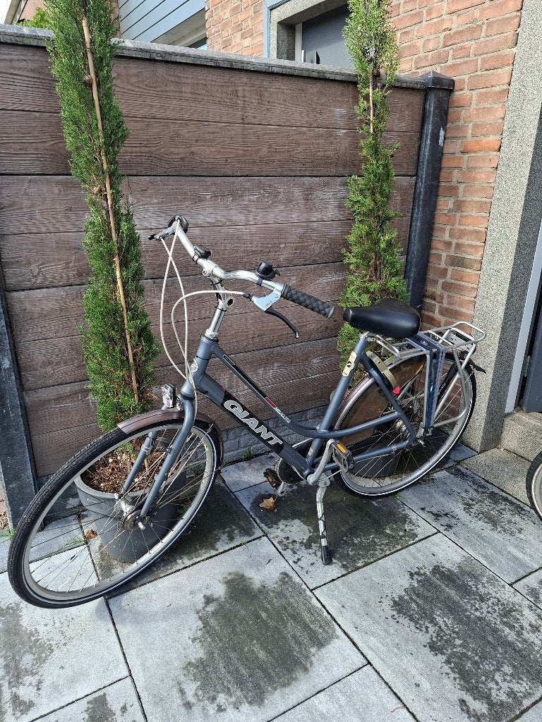 Giant  dames fiets te koop, Fietsen en Brommers, Ophalen, Velgrem, Versnellingen, Giant