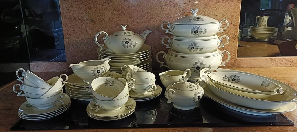 Servies, zie foto's. Niet compleet, onbeschadigd, Ophalen, Zo goed als nieuw, Porselein, Overige stijlen