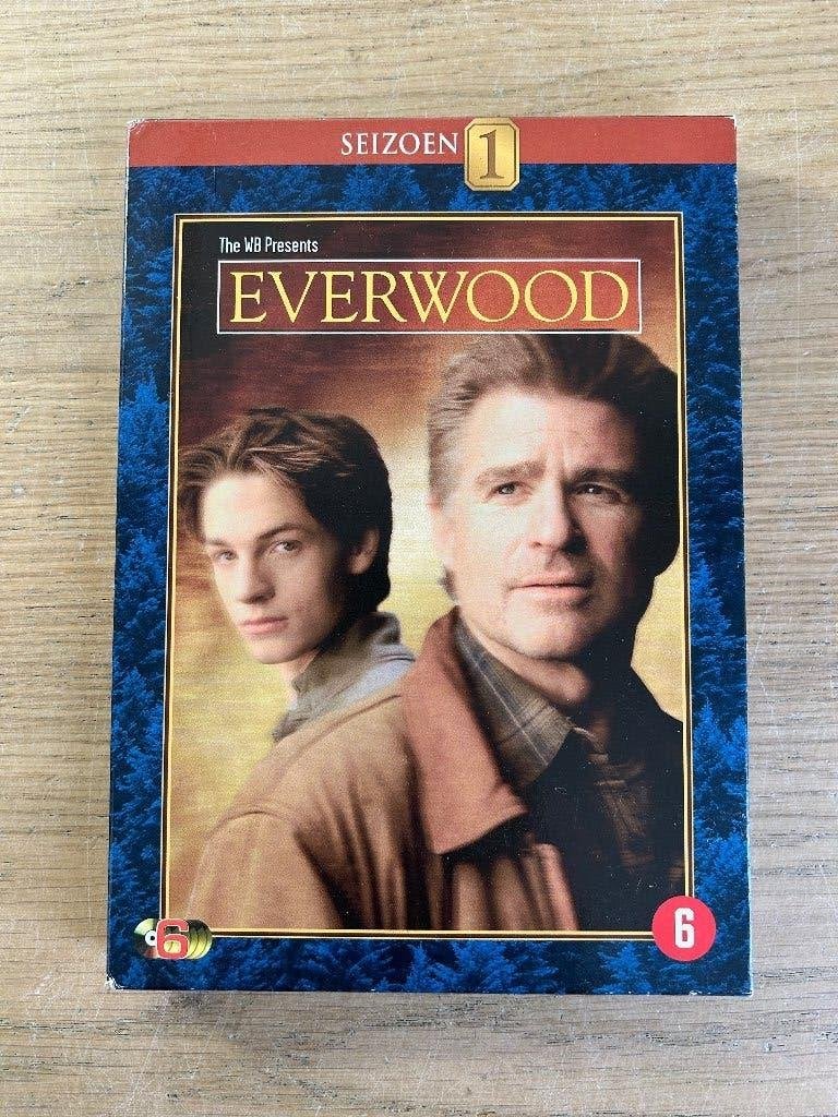 DVD Everwood Seizoen 1, Cd's en Dvd's, Vanaf 12 jaar, Ophalen of Verzenden, Zo goed als nieuw
