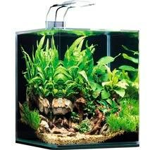 Dennerle nano 30 ltr met Superfish design aquariummeubel, Ophalen