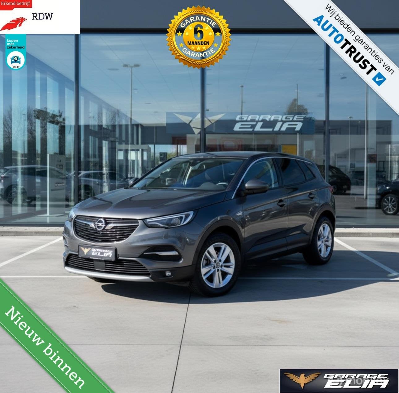 Opel Grandland X 1.2 Turbo Business Elegance| Navi | PDC, Auto's, Opel, Gebruikt, 1199 cc, Met garantie (alle), Leder en Stof