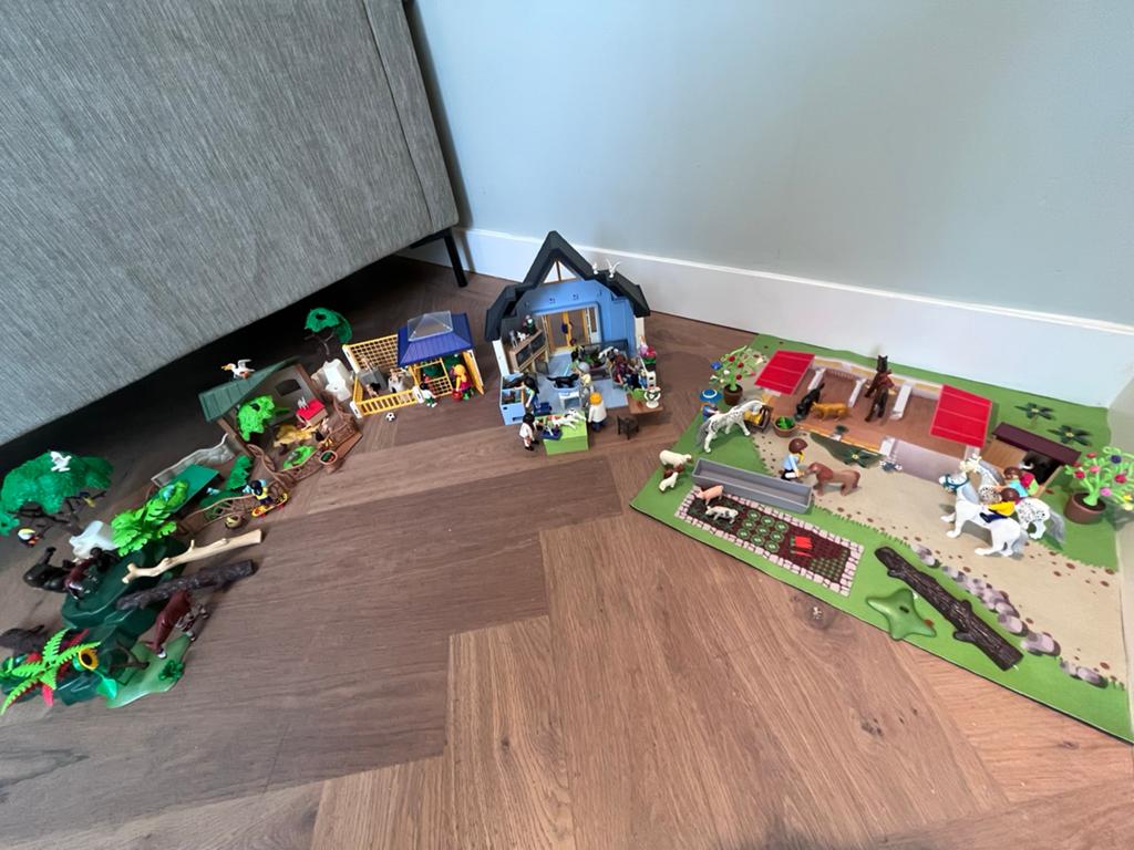 Manege, dierenarts en dierentuin, Ophalen of Verzenden, Gebruikt, Los playmobil