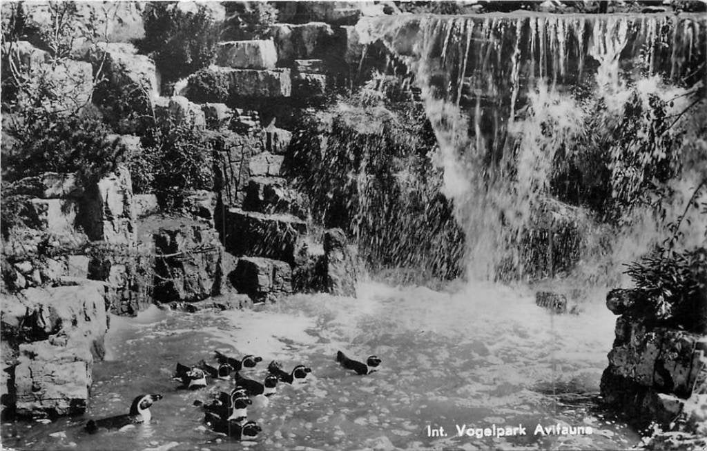 381-030-027 Alphen aan de Rijn Int. Vogelpark Avifauna, Verzenden, Voor 1920, Zuid-Holland