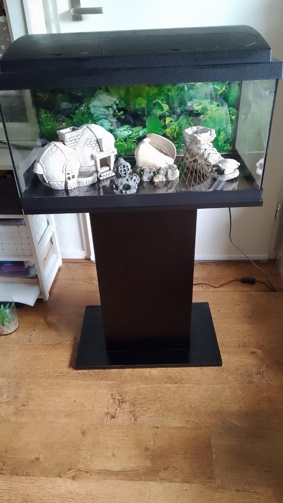 Mooi Aquarium 54 liter met stevige poot en toebehoren., Ophalen, Inclusief toebehoren, Aquariummeubel