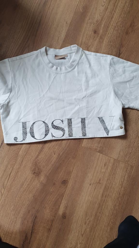 Josh V crop top wit met korte mouwen, Wit, Maat 46/48 (XL) of groter, Ophalen of Verzenden, Korte mouw