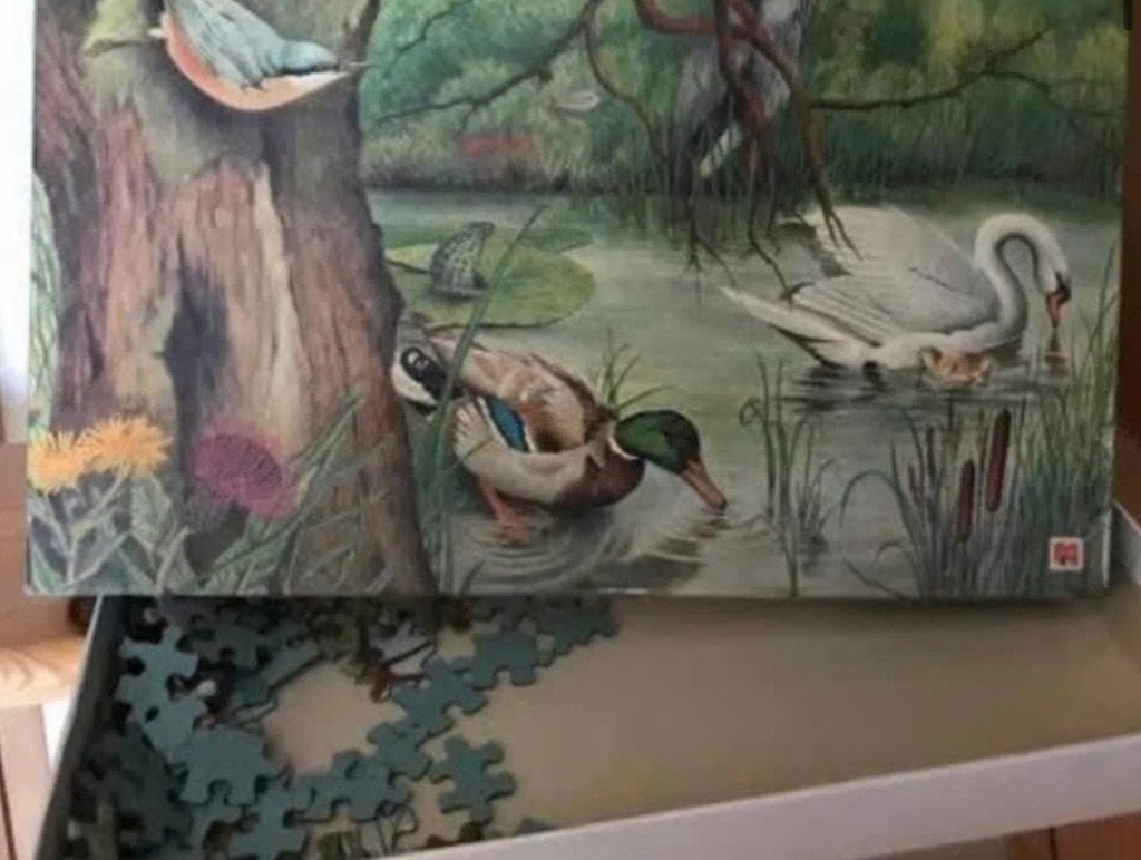 puzzel met eendjes, Ophalen, Meer dan 50 stukjes, Gebruikt