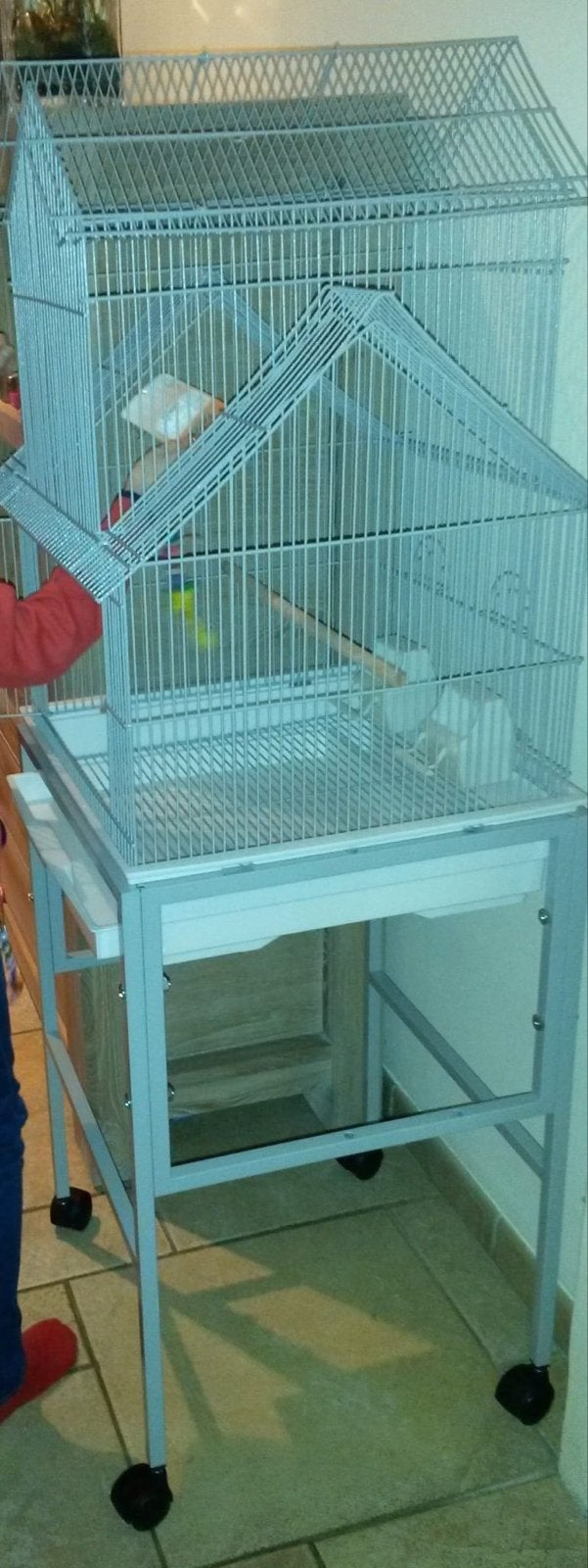 Grote vogelkooi op verrijdbaar onderstel, Dieren en Toebehoren, Ophalen, Zo goed als nieuw, Metaal, Vogelkooi