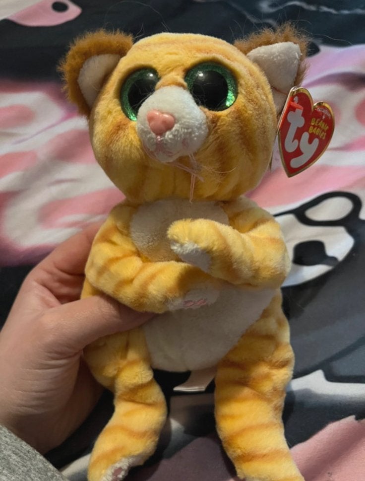 Ty beanie boos, Kinderen en Baby's, Speelgoed | Knuffels en Pluche, Ophalen of Verzenden, Zo goed als nieuw, Overige typen