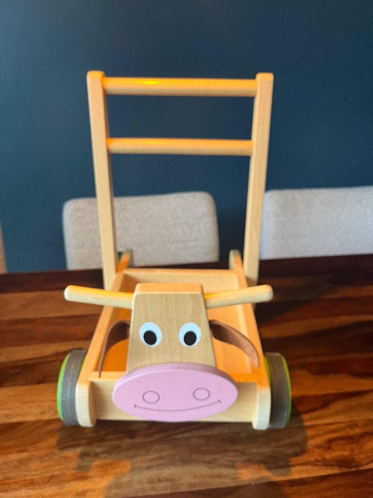 Loopwagen schattig, Kinderen en Baby's, Overige Kinderen en Baby's, Ophalen, Zo goed als nieuw