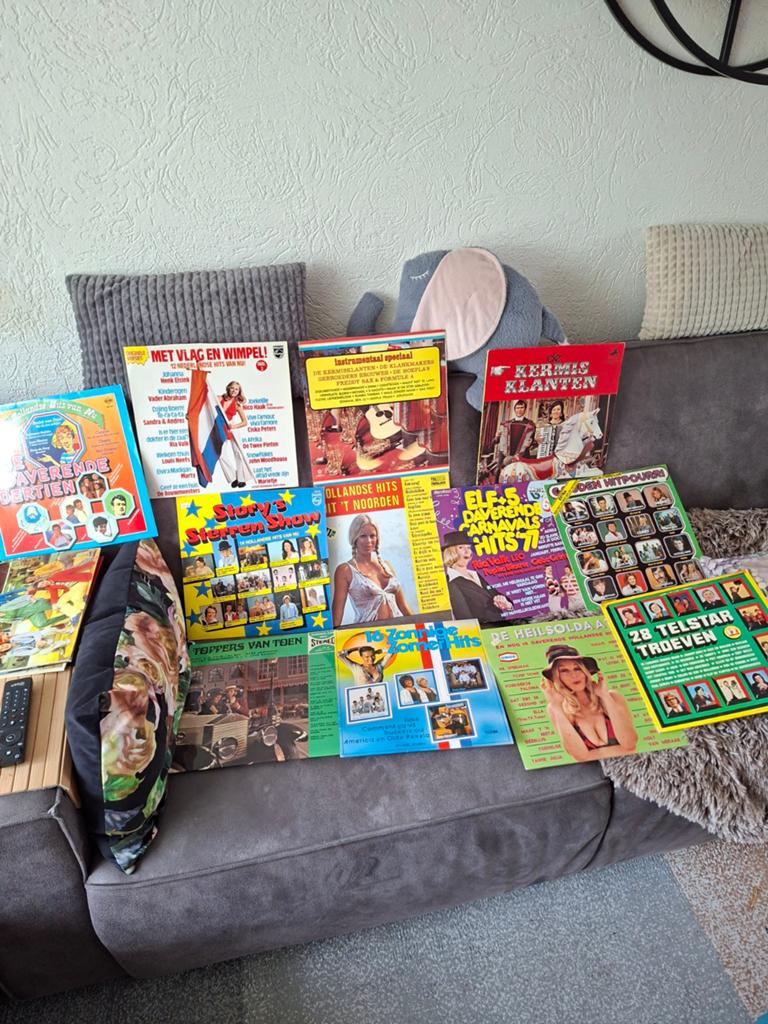 Diverse Nederlandse muziek LP's - Gebruikte staat, Cd's en Dvd's, Ophalen of Verzenden, Gebruikt, 12 inch, Overige genres