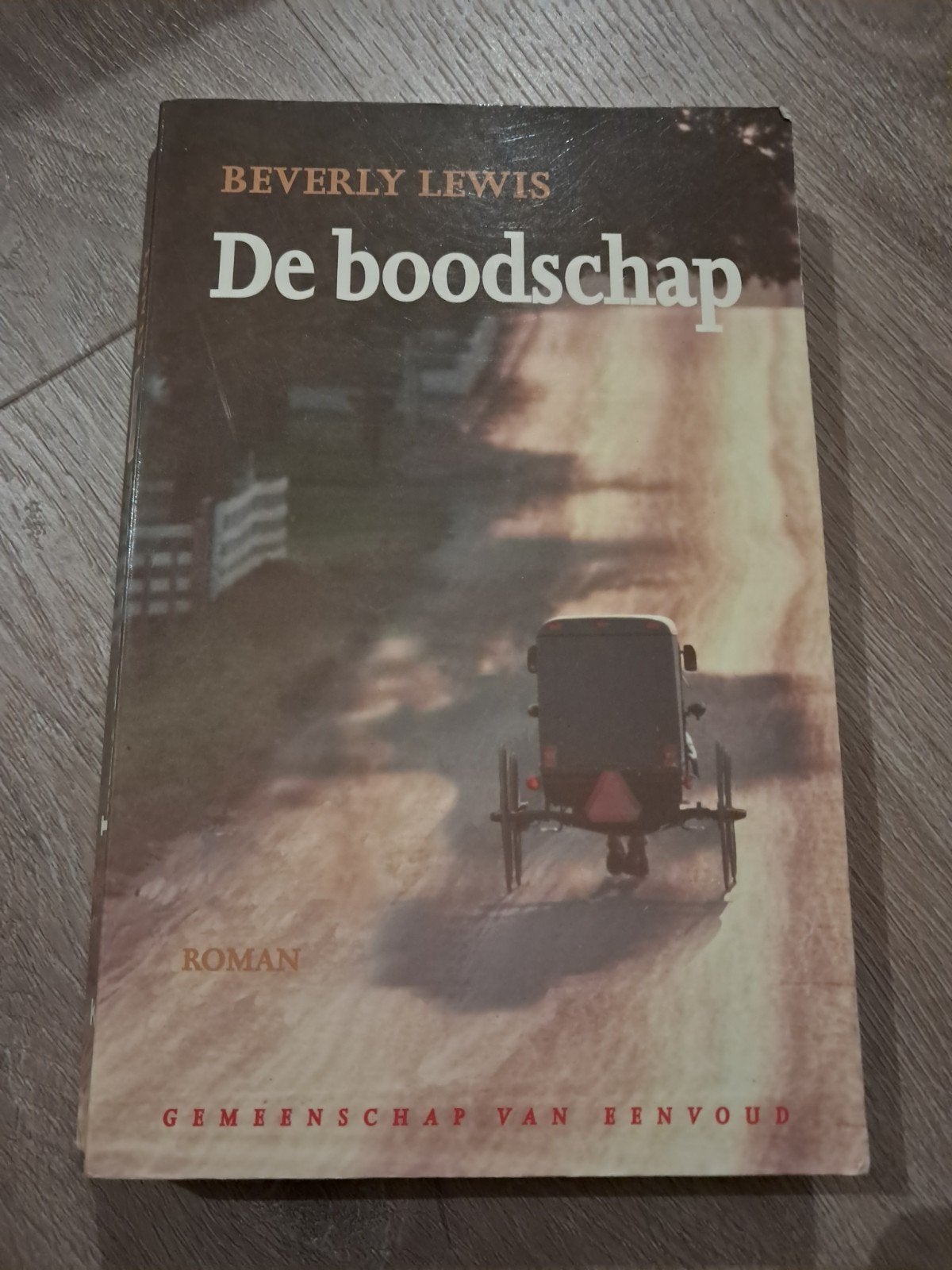 Z4 De boodschap - Beverly Lewis (Roman), Ophalen of Verzenden, Gelezen, Beverly Lewis, Nederland