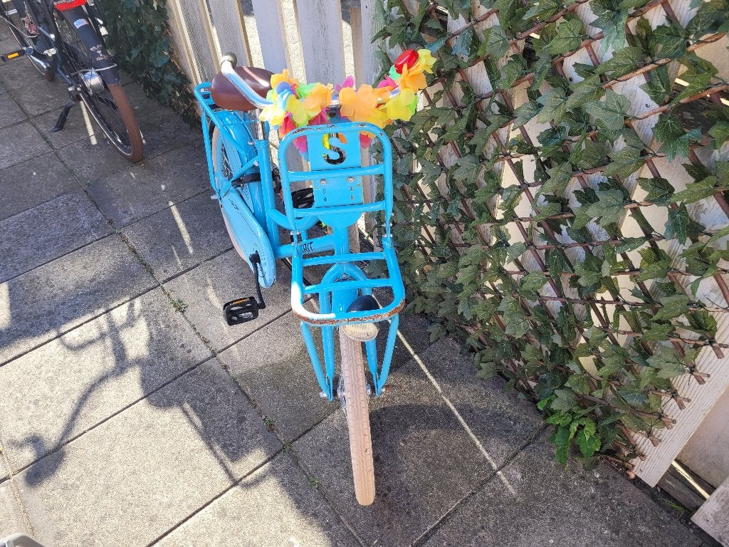 Blauwe meisjes fiets 20 inch, Ophalen, Gebruikt, Spirit, Terugtraprem