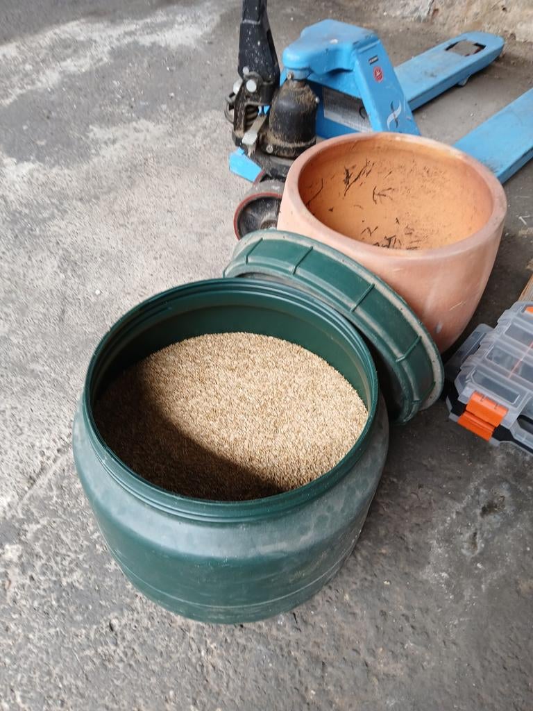 Graszaad in afsluitbare ton (ruim 21 liter), Ophalen of Verzenden, Nieuw, 20 m² of meer, Gras