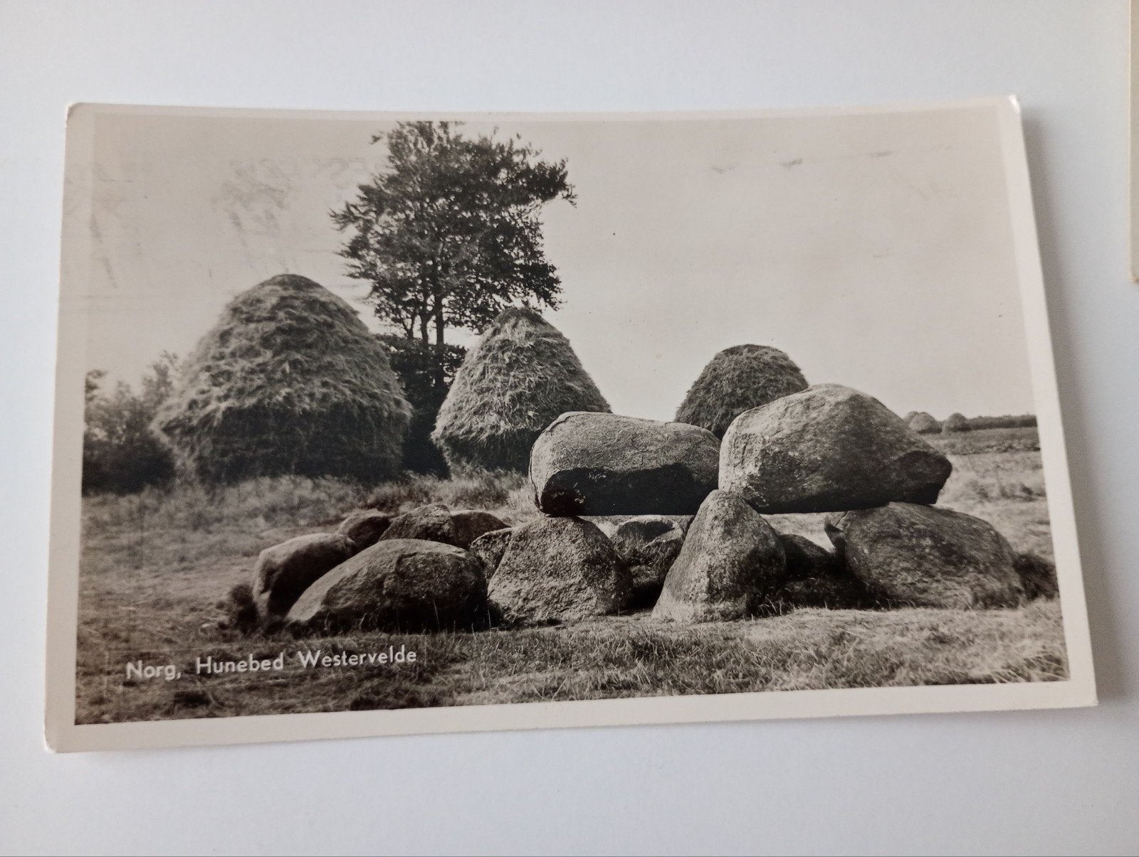 Norg Hunebed Westervelde 1956, Verzamelen, Ophalen of Verzenden, 1940 tot 1960, Gelopen, Drenthe