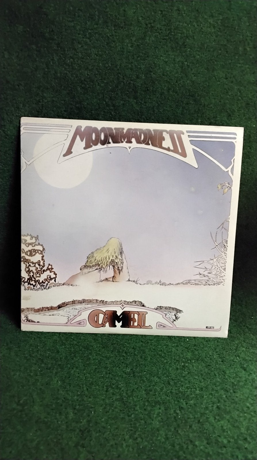 CAMEL, Ophalen of Verzenden, Gebruikt, 12 inch, Poprock