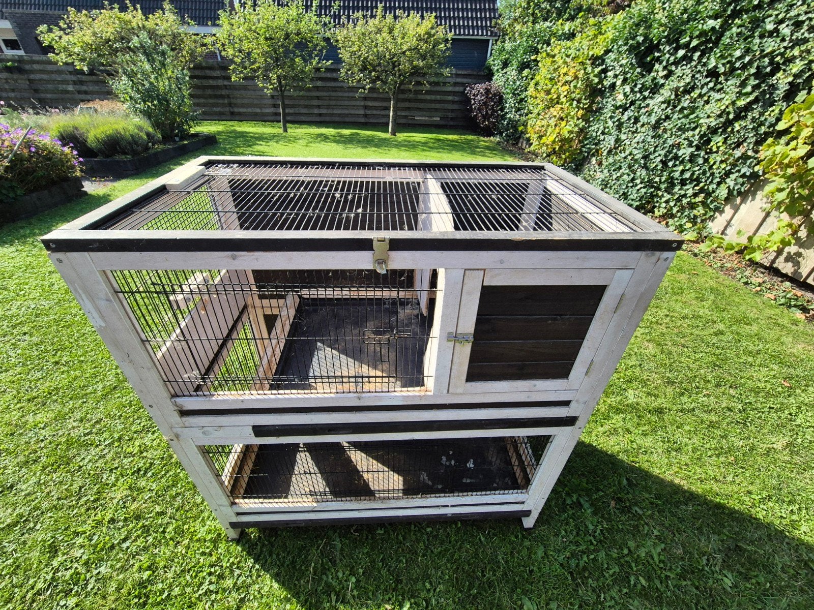 konijnenhok, Ophalen, Gebruikt, Cavia, 90 cm of meer