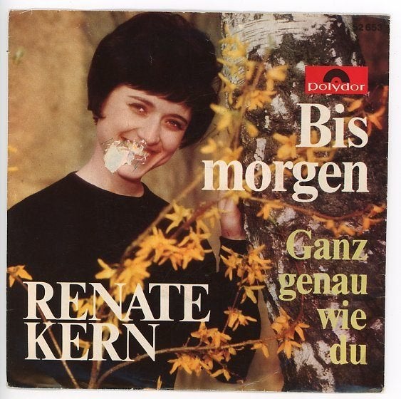 Single van Renate Kern uit 1966 ***, Gebruikt, Verzenden, 7 inch, Pop
