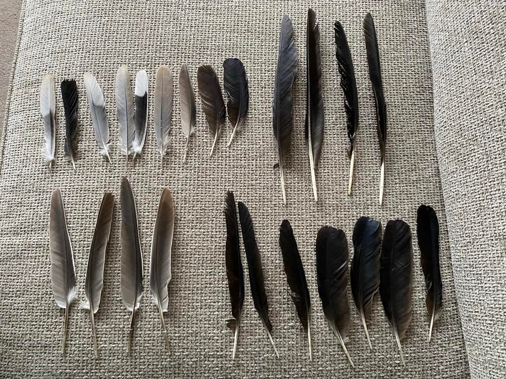 Veren veer, Hobby en Vrije tijd, Knutselen, Ophalen of Verzenden